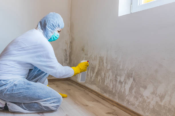 Licensed Commercial Mold Remediation service in Grand Prairie, TX - 24 Hour Mold Removal